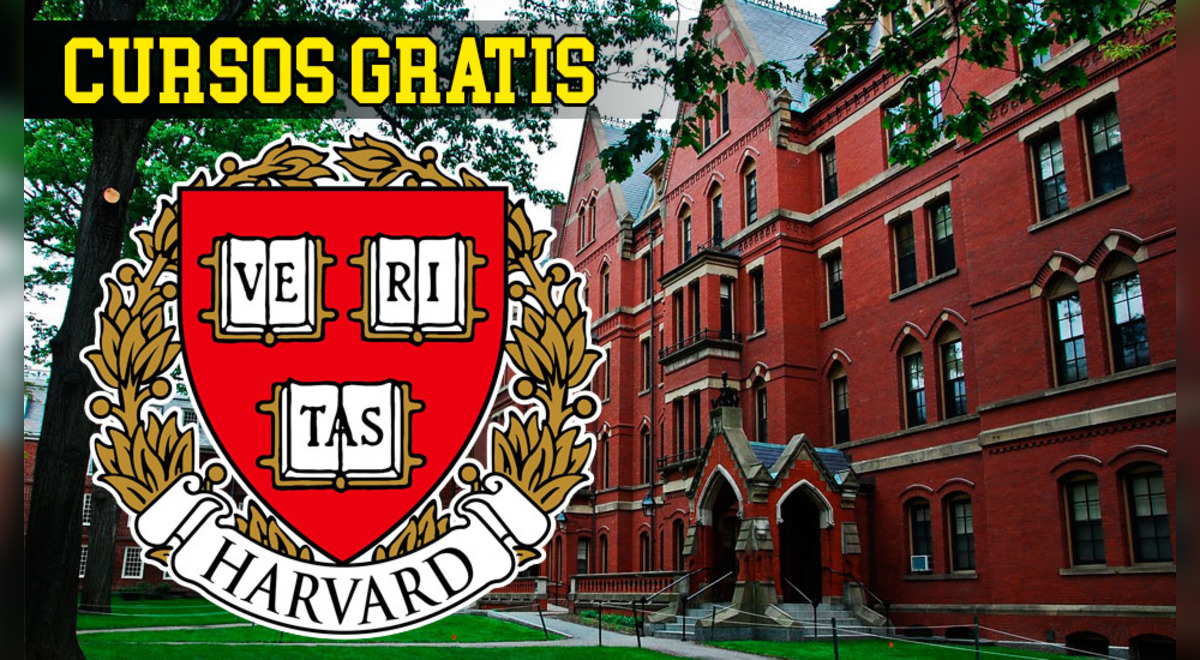 ¿Quieres estudiar en la Universidad de Harvard? Conoce 50 cursos