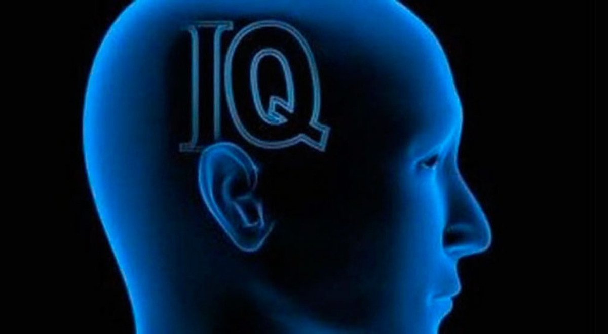 Gran Test De Inteligencia Iq Test De Cociente Intelectual Test My Xxx