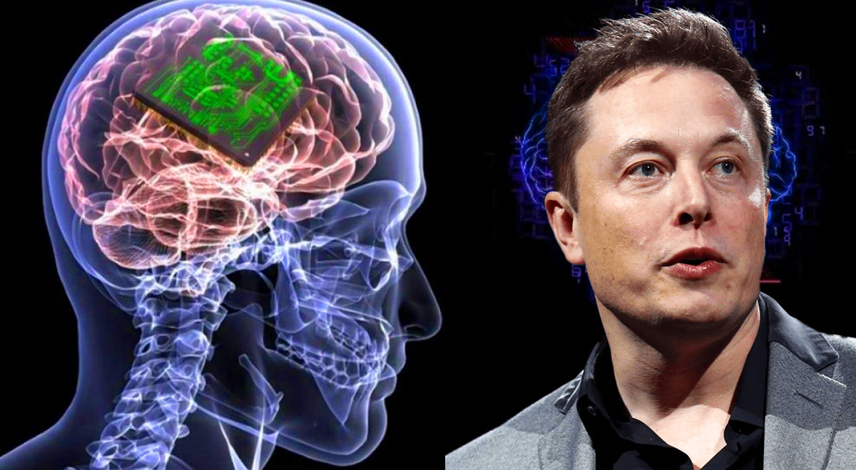 Neuralink el chip cerebral de Elon Musk se lanzaría a fines de 2021