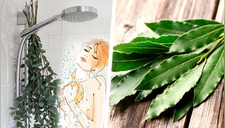 Ella coloca hojas de eucalipto en su ducha, cuando sepas la razón querrás imitarla