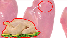 ¿Qué significan las rayas blancas en la carne de pollo? Conoce la verdad que ocultan (VIDEO)