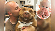 Dueño trata a su perro pitbull como todo un bebé; no exageramos [VIDEO]