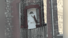 Gato toca la puerta como ‘humano’ y avisa a su amo que llegó a casa [VIDEO] 
