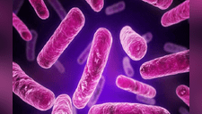 Temida enfermedad de transmisión sexual se está haciendo resistente a antibióticos, según la ciencia