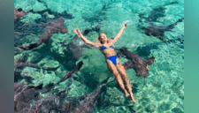 Tiburón ataca a modelo mientras intentaba hacer sesión de fotos en el agua [FOTOS]