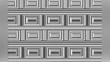 ¿Cuántos círculos ves en la imagen? Esta es la ilusión óptica que viene siendo furor en Internet