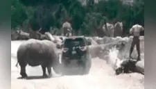 Infartante video donde se ve a rinoceronte atacar un auto con una familia entera dentro [VIDEO]