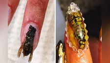 “La asquerosa y cruel moda en manicure”: colocar insectos muertos en las uñas como fósiles [FOTOS] 