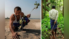 Plantó un árbol cada día por 40 años y creó un increíble bosque que salva vidas [VIDEO]