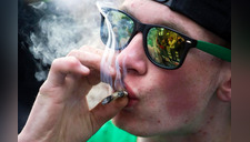 Oferta laboral: Empresa busca ‘catadores de marihuana’; deben ser mayores de 18 años