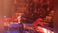 Tigresa sufre ataque de “epilepsia”en circo, y la reacción de su domador indigna al mundo [VIDEO]