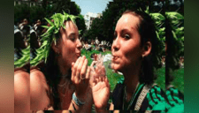 Entérese sobre la marihuana Kripy: la nueva droga que pone en peligro a los jóvenes 