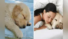 Para las mujeres es mejor dormir con su perro que con cualquier ser humano, según estudio científico 
