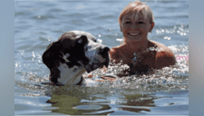 Entérese cómo quitar el miedo a su perro para nadar y disfruten juntos el verano 2019 