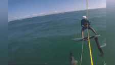 Surfista choca contra tiburón mientras entrena y sufre estrepitosa caída [VIDEO] 