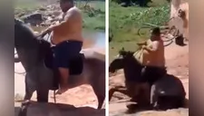 Hombre con sobrepeso monta sobre caballo y lo derriba [VIDEO] 