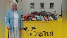 Abuelita deja de lado a nietos y se esmera en tejer 400 frazadas para perros abandonados [FOTOS] 