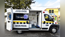 Crean "Ambudog", la primera ambulancia para atender animales abandonados en las calles [FOTOS]