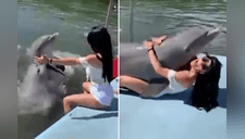 Delfín juguetón se tira encima de chica y la sonroja con su efusivo cariño [VIDEO] 