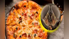 Captan a "batallón" de larvas devorar una pizza familiar y se vuelve viral [VIDEO]