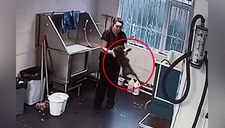 Captan a mujer agarrando a un perro por el cuello y golpeándolo en veterinaria [VIDEO] 