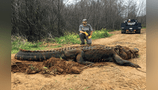 Hallaron un caimán de más de 4 metros de largo en Estados Unidos y ha sorprendido a miles 