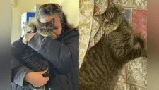 Un gato se escapó de su casa y fue encontrado cinco años después a más 40 kilómetros