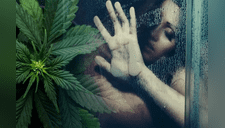 La marihuana mejora los orgasmos de las mujeres cuando lo fuman; estudio lo revela