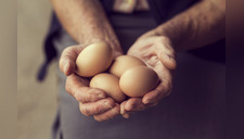 Consumo diario de huevos estaría asociado a las enfermedades cardíacas, afirma estudio