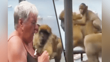 Mono con su bebé le roba su helado a mujer distraída y se lo come [VIDEO] 