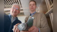 Subastan paloma viva en 1,2 millones de euros [FOTOS] 