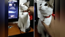 Gato se hace la “estatua” y le juega una cruel broma a su dueño [VIDEO] 
