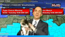 Meteorólogo da el reporte del clima en vivo desde su casa, su gato pasa y sucede lo impensado (VIDEO)