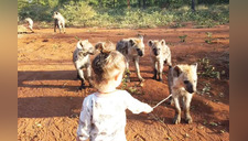 Niña de 2 años juega con manada de hienas africanas (VIDEO)