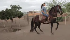 Mujer hace delivery de comida montada en un caballo (FOTOS)