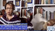 Gatos se pelean a espaldas de reportera durante transmisión en vivo (VIDEO)