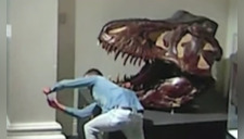Sujeto entra a robar a famoso museo y se toma selfie con el cráneo de un dinosaurio antes de irse (VIDEO)