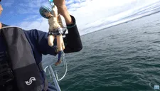 Un pescador usa un personaje de anime como cebo y termina atrapando a varios pulpos (VIDEO)
