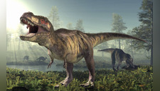 Hallan nueva especie de dinosaurio emparentado con el Tyrannosaurus rex (VIDEO)