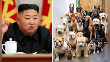 Kim Jong-un ordena a norcoreanos a entregar sus perros para que sean alimento, según reporte