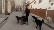 ¡Y hasta empujaron a su abuelo! Agreden físicamente a una mujer solo por dar de comer a perros callejeros (VIDEO)