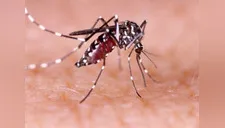 Científicos crean test rápido para dengue, zika, fiebre amarilla y otras enfermedades causadas por virus