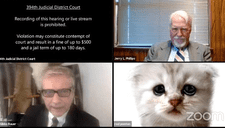 Abogado usa el filtro animado de un gato por error en plena audiencia virtual (VIDEO)