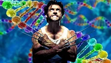 'Wolverine' (X-Men) sería una realidad: EEUU usaría técnica de reprogramación celular para regenerar heridas