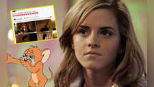Emma Watson se retiraría de la actuación y los fans están devastados por su partida
