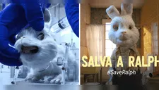 Save Ralph: El corto contra las pruebas cosméticas en animales que hace llorar a miles (VIDEO)