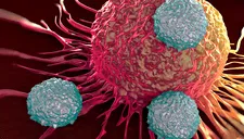 Científicos modifican un virus para combatir el cáncer y se elimine así mismo