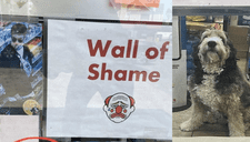 ¡Atrapado infraganti! Perro es puesto en el "muro de la vergüenza" por robar en una tienda