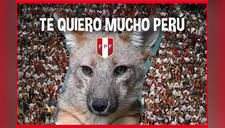 'Run Run peruano': el nuevo meme para celebrar los triunfos de la Blanquirroja