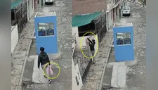 Mujer abandona a una perrita y le amarra el hocico para que no ladre